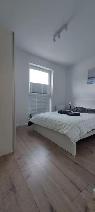 Ferienwohnung Urokliwy Apartament Baltyk Nieopodal Gdyni New Pogorze Exterior foto